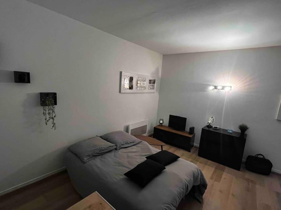 Au P'tit Ecureuil - Hypercentre Appartement